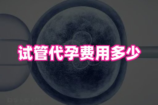 武汉助孕网站 2