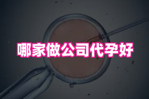 武汉助孕网站 4